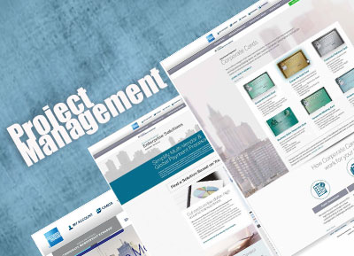 Project Management 2015