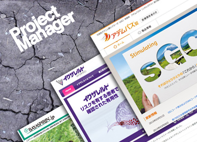 Project Management 2011